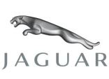 Jaguar voor schoonheidsmiddel