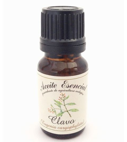 Kruidnagel etherische olie 10 ml Kruidnagel etherische olie 10 ml