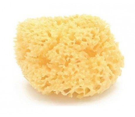 Natuurlijke mariene spons Natuurlijke mariene spons