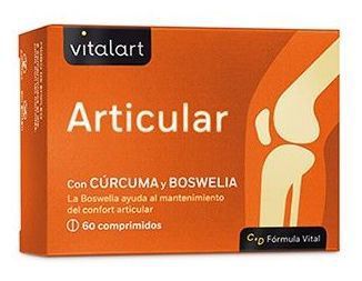 Vitalart Articular 60 tabletten Vitalart Articular 60 tabletten