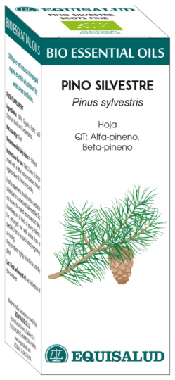 Equisalud Bio etherische olie grenen 10 ml Qt: Alfa-Pi