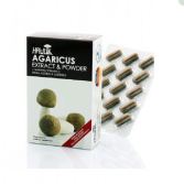 Agaricus Subrufescens Extract en poeder 60 capsules Agaricus Subrufescens Extract en poeder 60 capsules