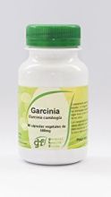 Garcinia Cambogia 500 mg 90 capsules Garcinia Cambogia 500 mg 90 capsules