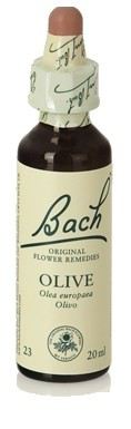Bach 23 Olijf 20 ml Bach 23 Olijf 20 ml