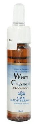 Forza Vitale Fm 35 Witte kastanje 10 ml