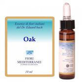 Fm 22 Eiken 10 ml Fm 22 Eiken 10 ml