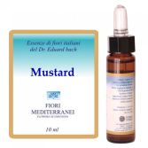 Fm 21 Mosterd 10 ml