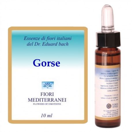 Forza Vitale Fm 13 Gaspeldoorn 10 ml