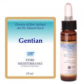 Fm 12 Gentiaan 10 ml Fm 12 Gentiaan 10 ml