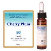 Fm 6 Kersenpruim 10 ml Fm 6 Kersenpruim 10 ml