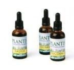 Korstmos Extract 50 ml Maese Herbario Korstmos Extract 50 ml Maese Herbario