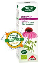 Phyto biopool echinacea